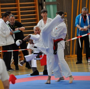 Karate_Ippon_Shobu_2016-06-12_242_